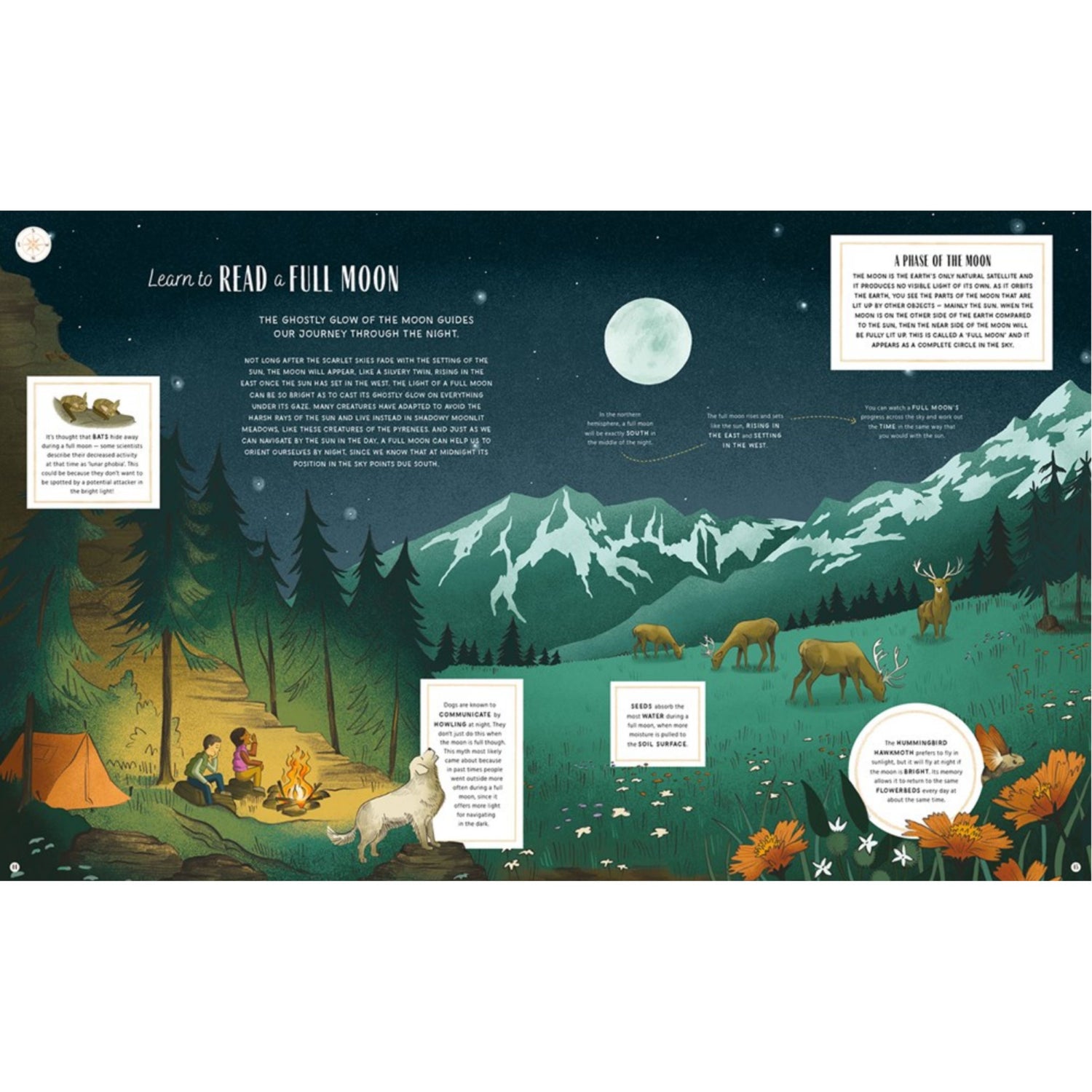 The Secret Signs of Nature: How to Uncover Hidden Clues in the Sky, Water, Plants, Animals, and Weather | Hardcover