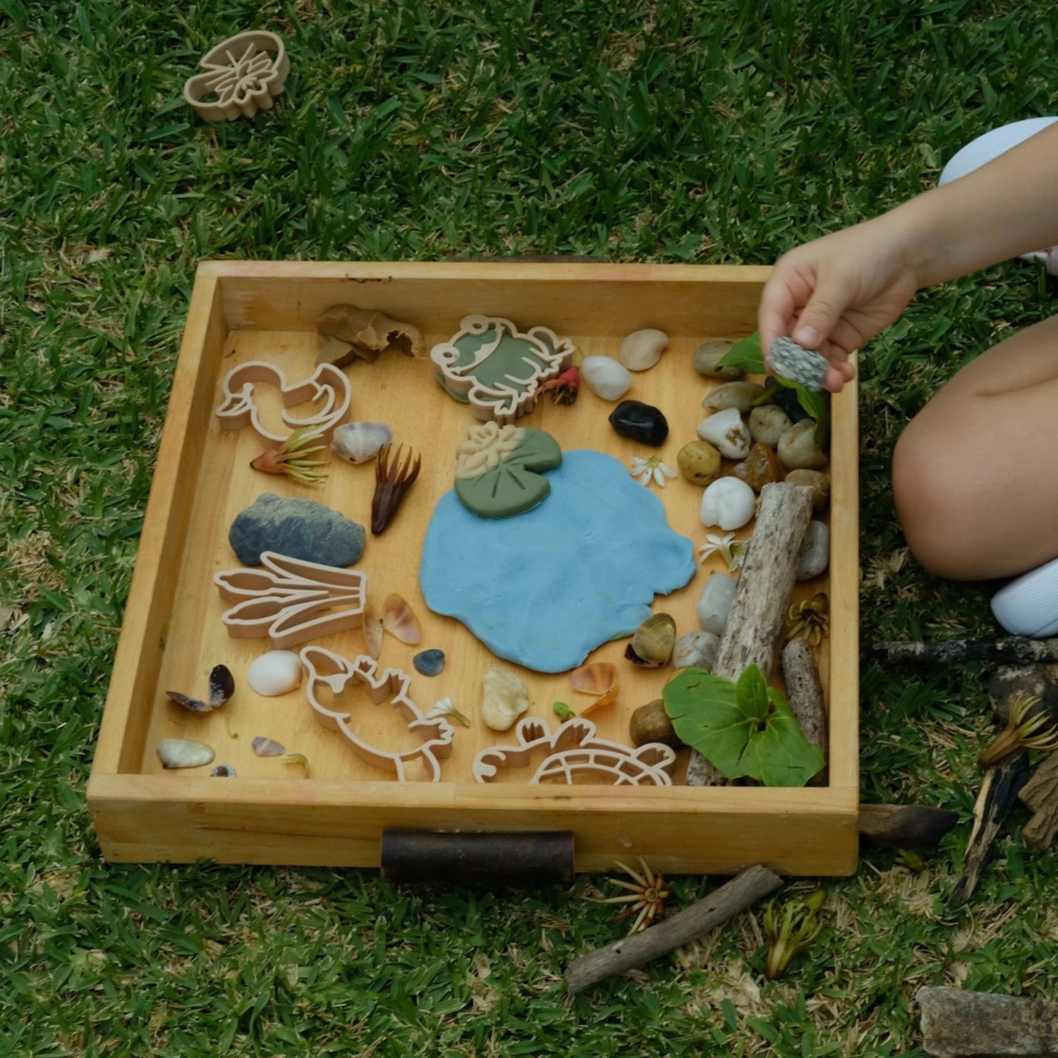 Pond Life Eco Cutter Playdough Set