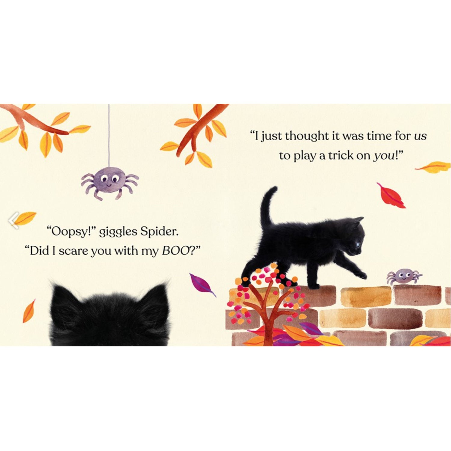 Happy Halloween, Little Black Cat | Board Book