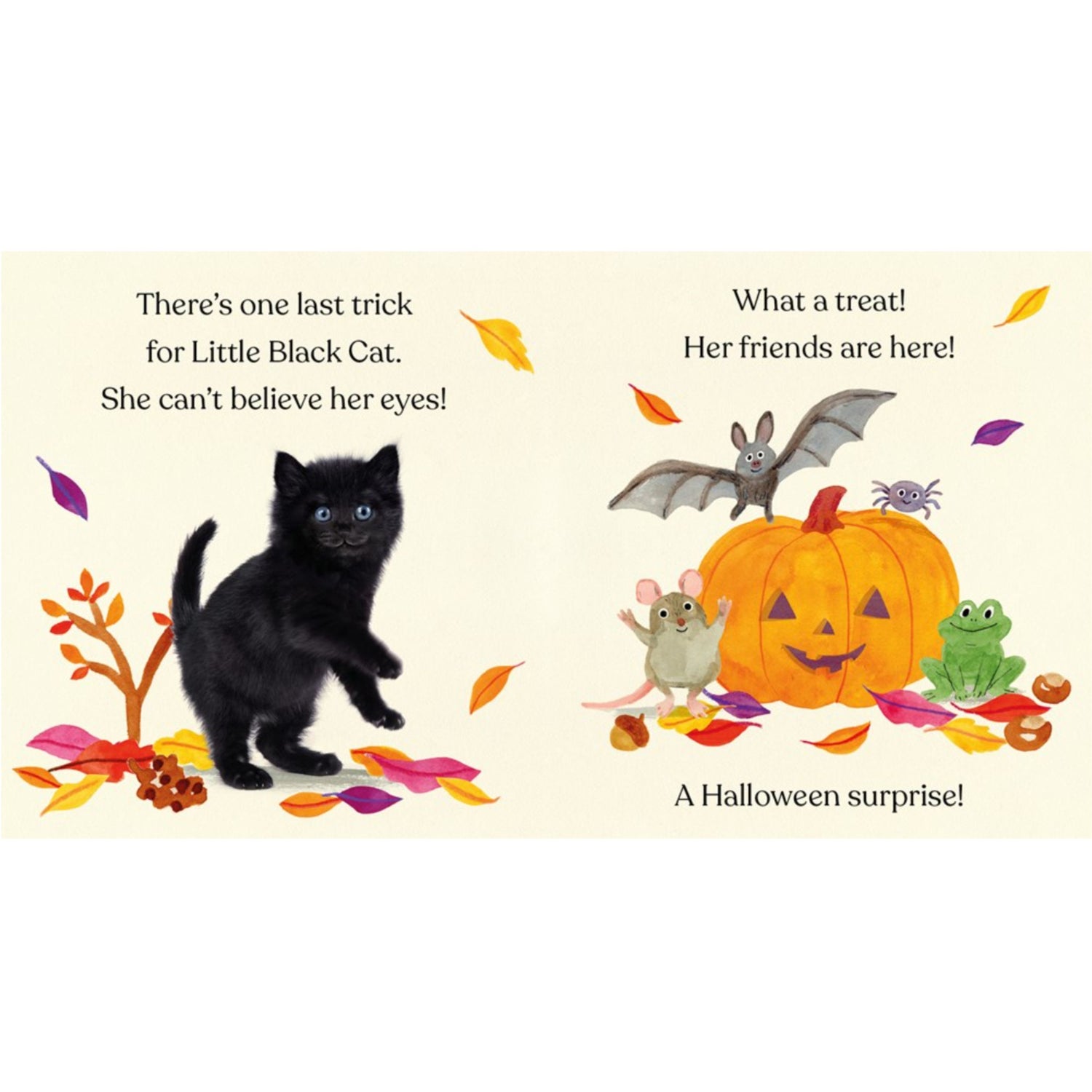 Happy Halloween, Little Black Cat | Board Book