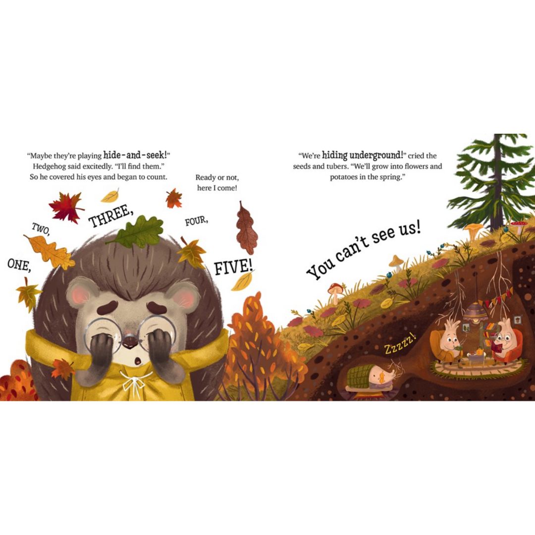 Fall with Little Hedgehog | Board Book