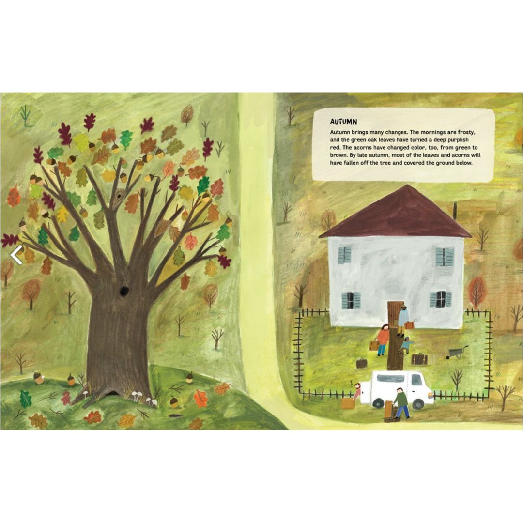 A Tree Is a Home | Hardcover