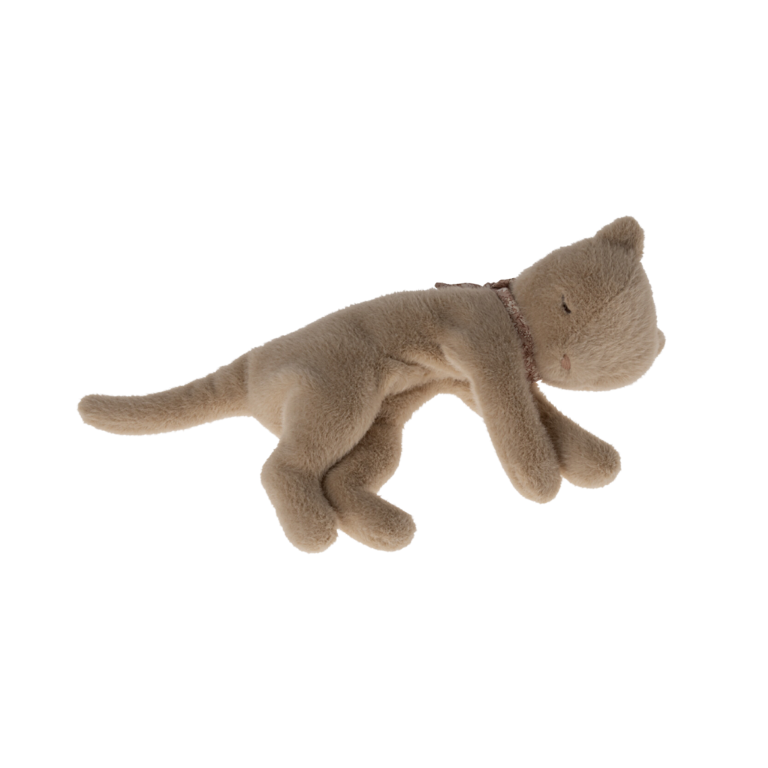 Kitten cream top