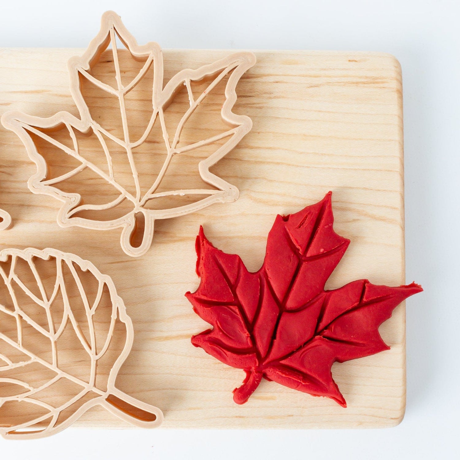 Kinfolk Pantry Sensory Play Leaf Eco Cutter Set