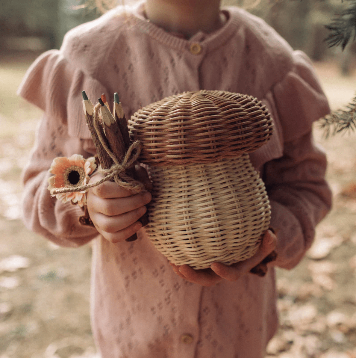 Olli Ella Rattan Rattan Porcini Mushroom Basket with Twig Pencils by Olli Ella Red & Cream Rattan Mushroom Basket | Handmade Natural Toys | The Playful Peacock