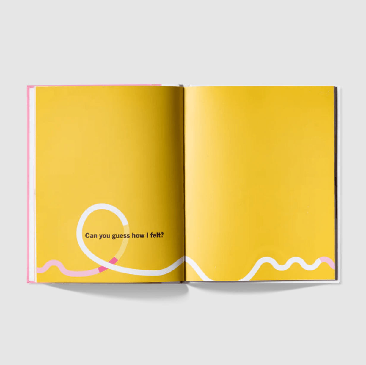 A Kids Co. Books A Kids Book About Empathy