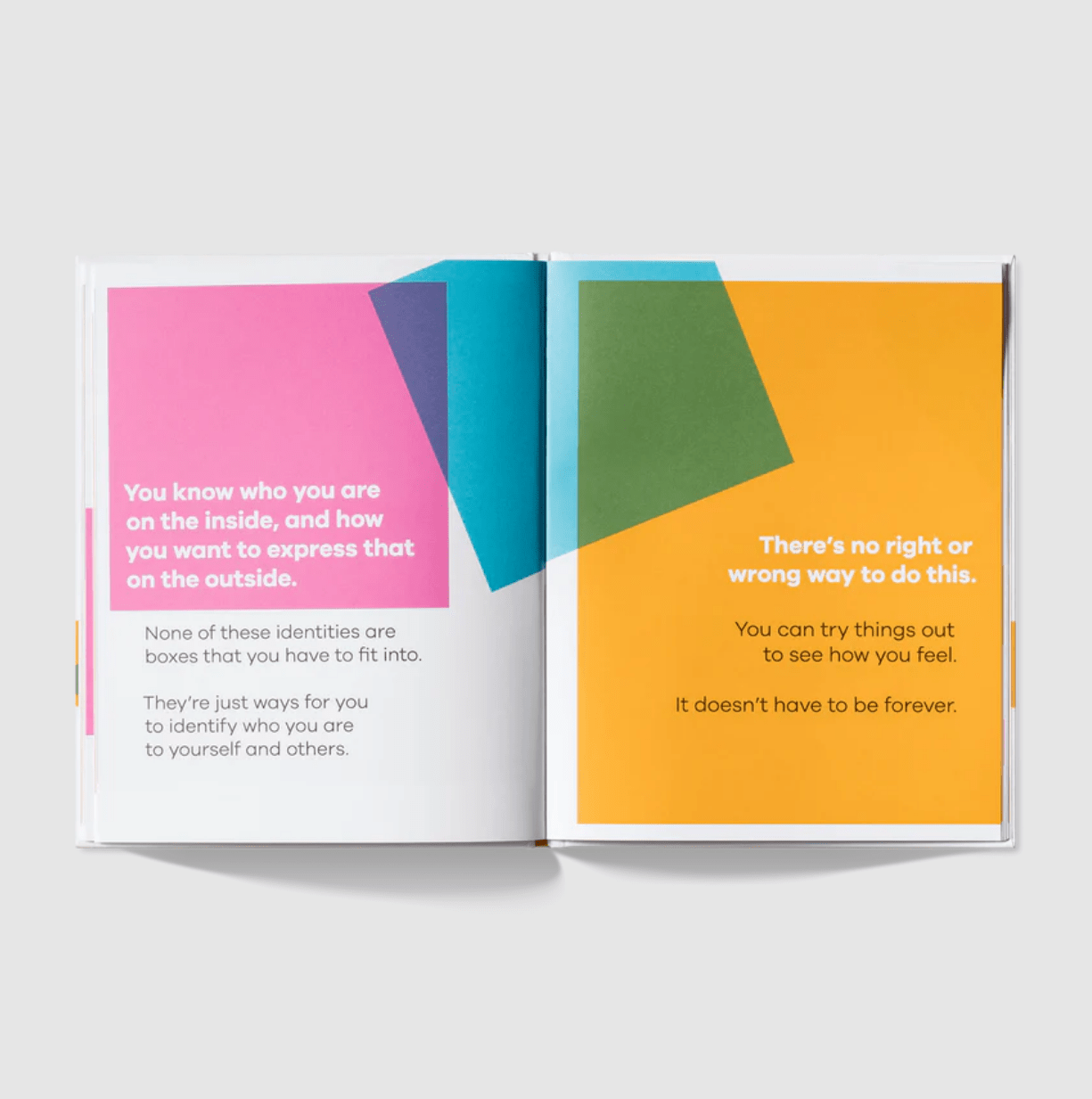 A Kids Co. Books A Kids Book About Gender