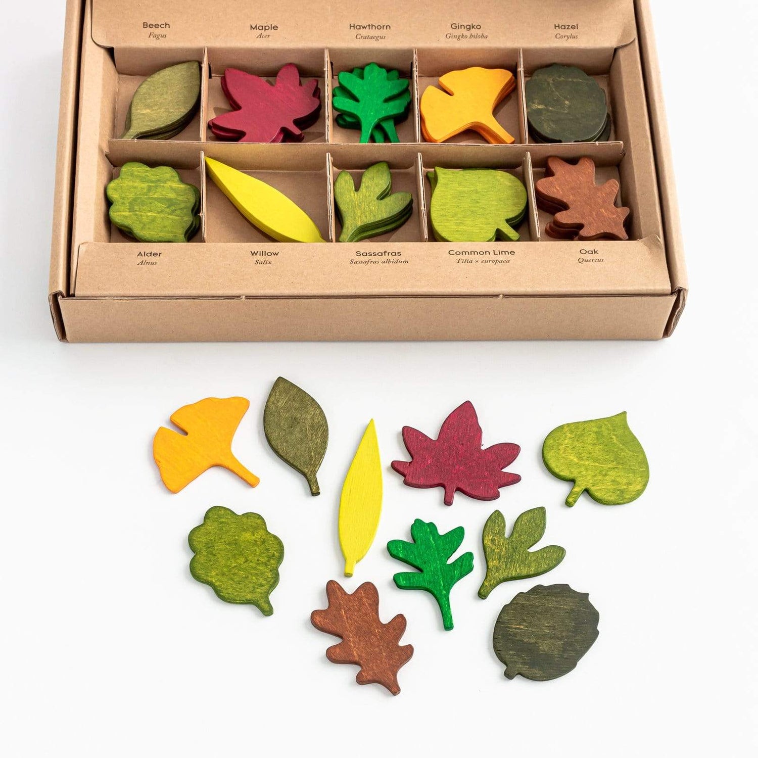 Moon Picnic Wooden Toys Woodland Leaves Set