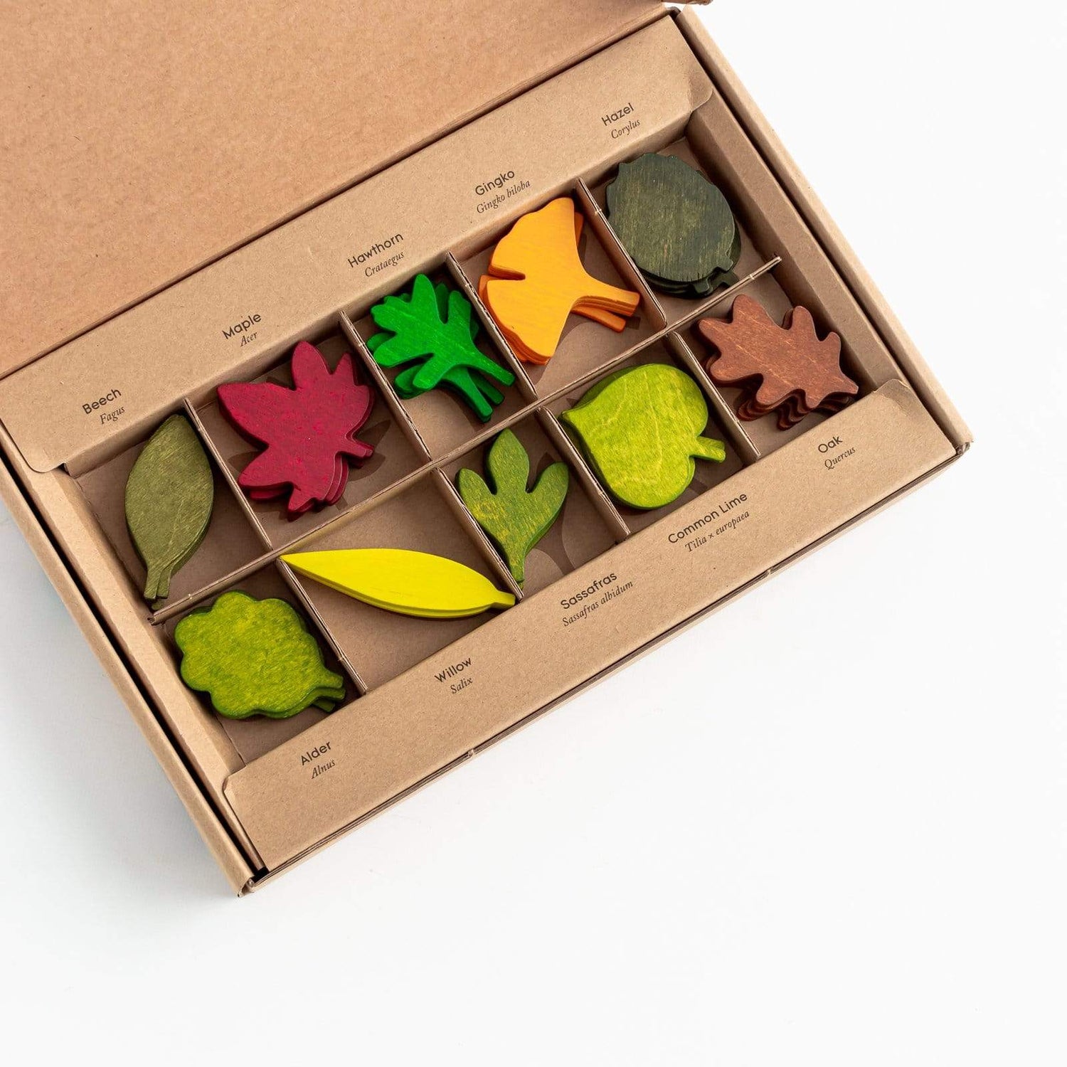 Moon Picnic Wooden Toys Woodland Leaves Set