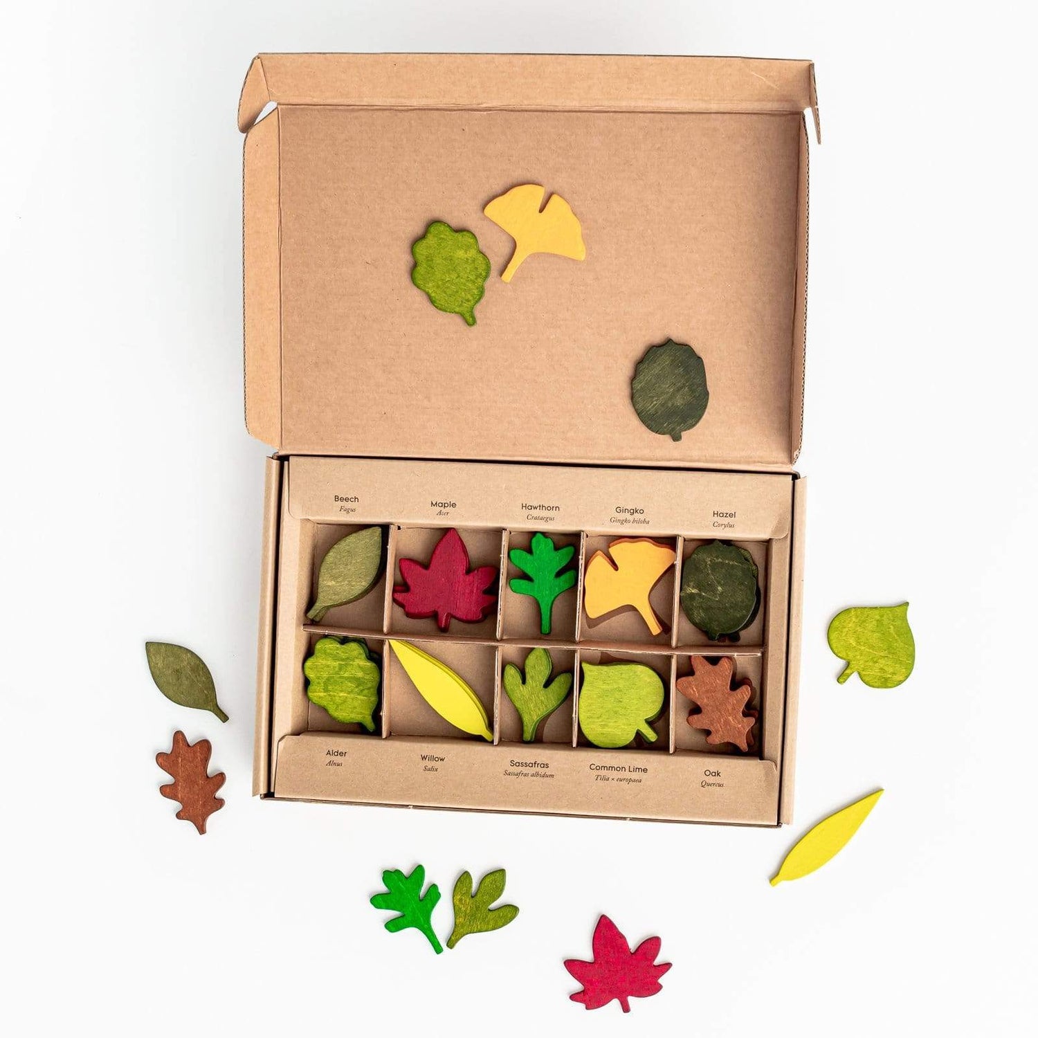 Moon Picnic Wooden Toys Woodland Leaves Set