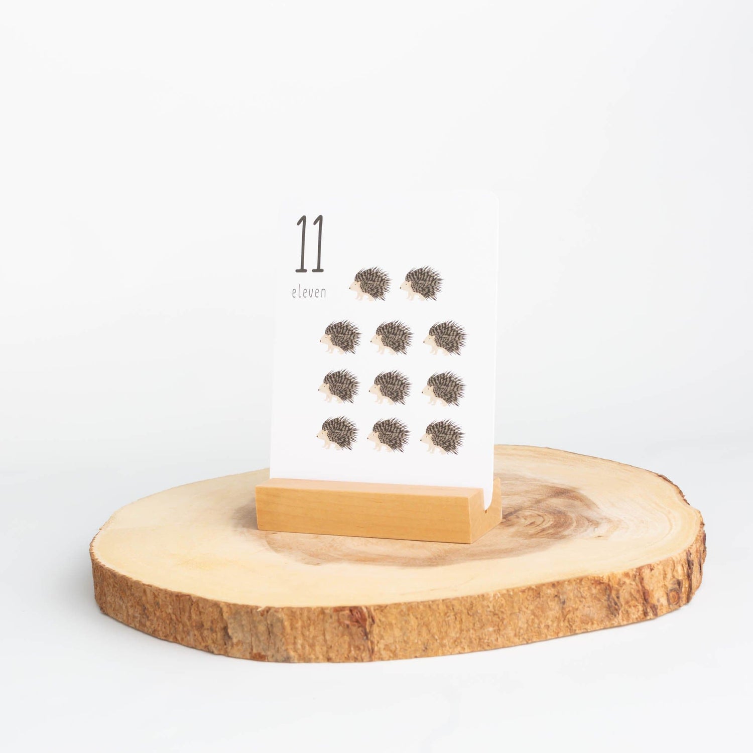 Oliver & Ko Educational Hand Illustrated Number Cards (Nature)
