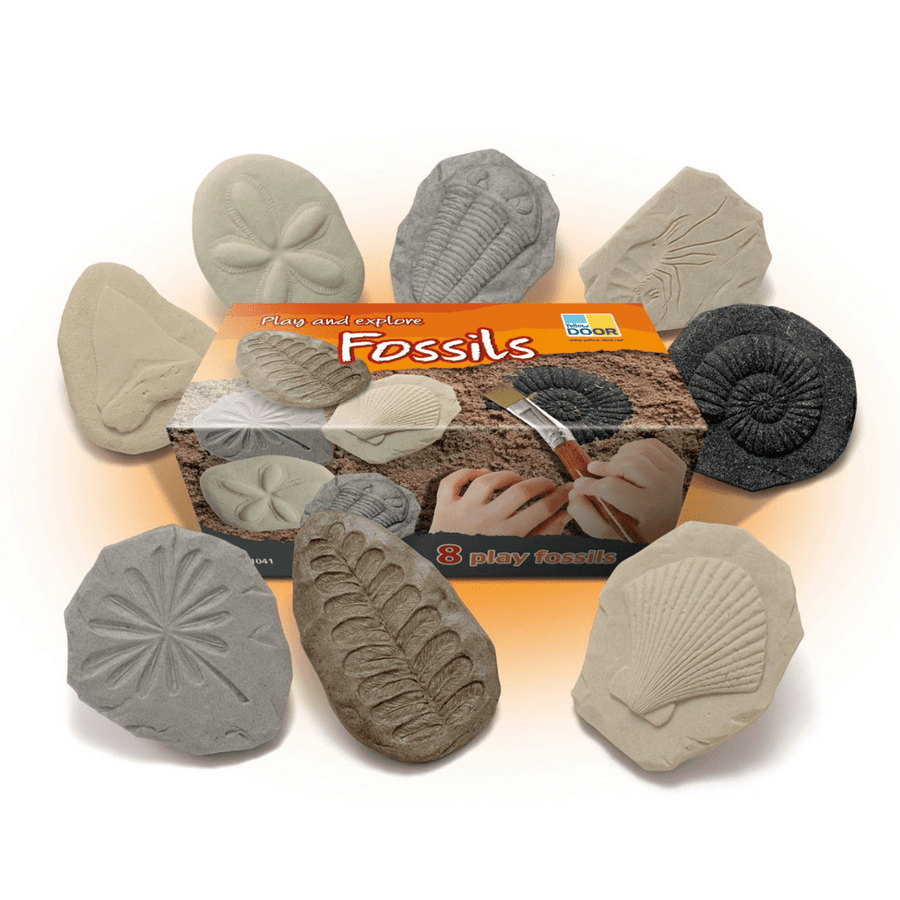 Yellow Door Sensory Play Lets Investigate - Fossils Sensory Stones