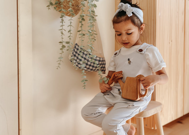 The Dos and Don'ts of Wooden Toys