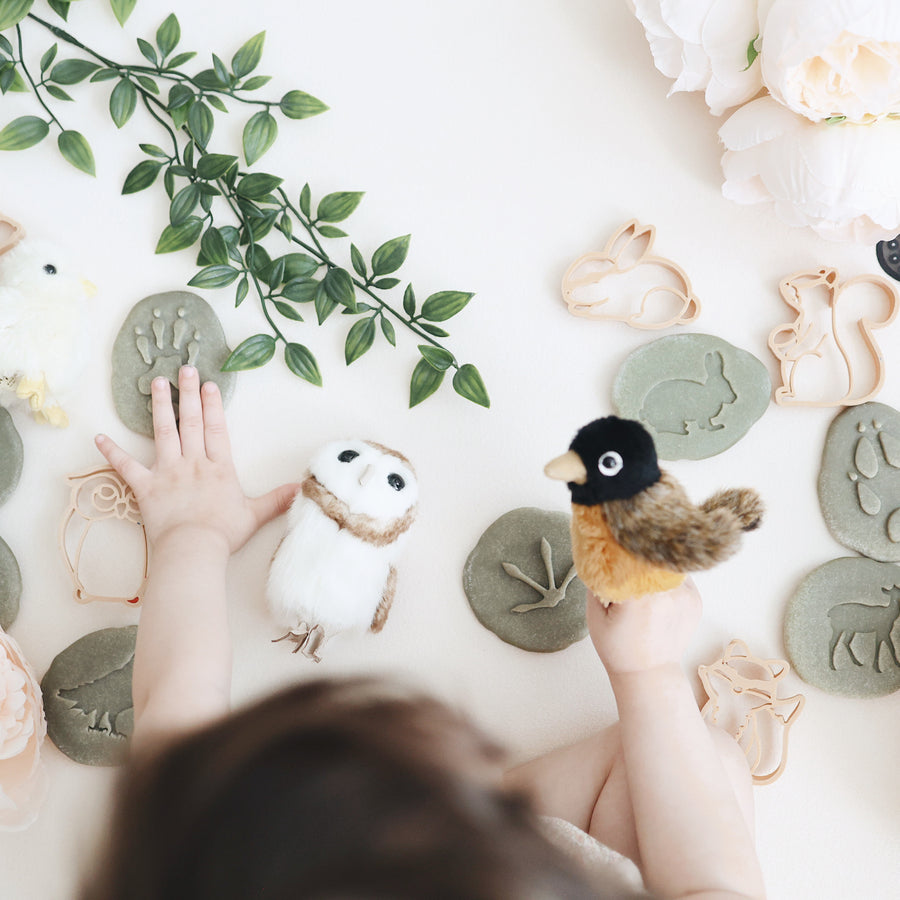 The Animal Collection