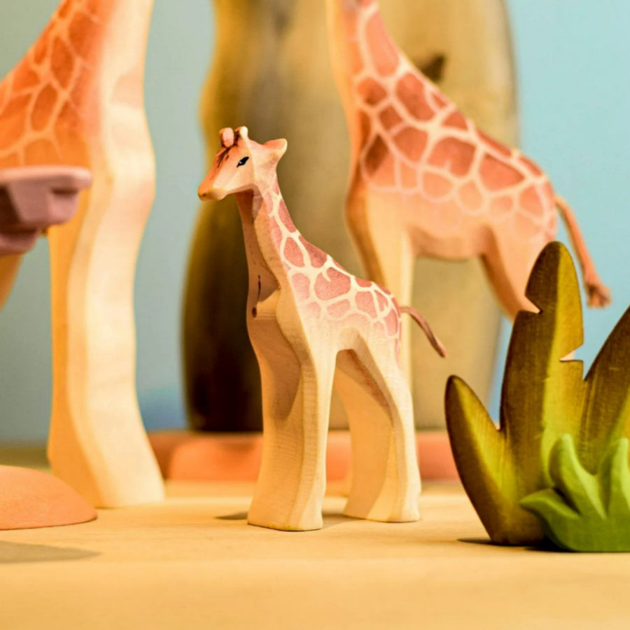 On Safari