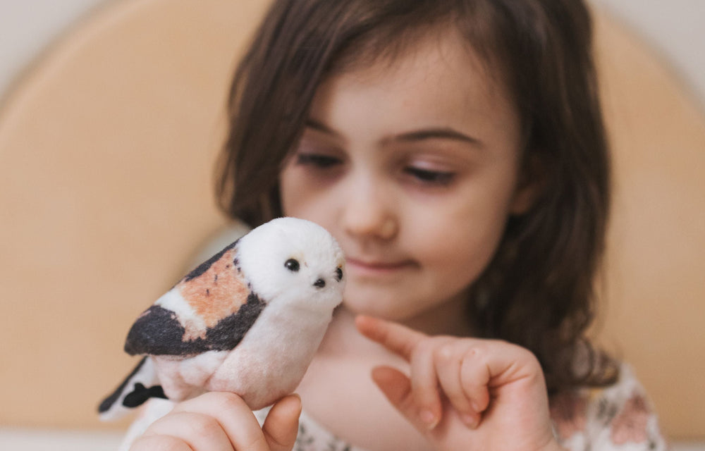 Birds