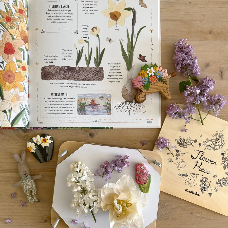 The Spring Collection