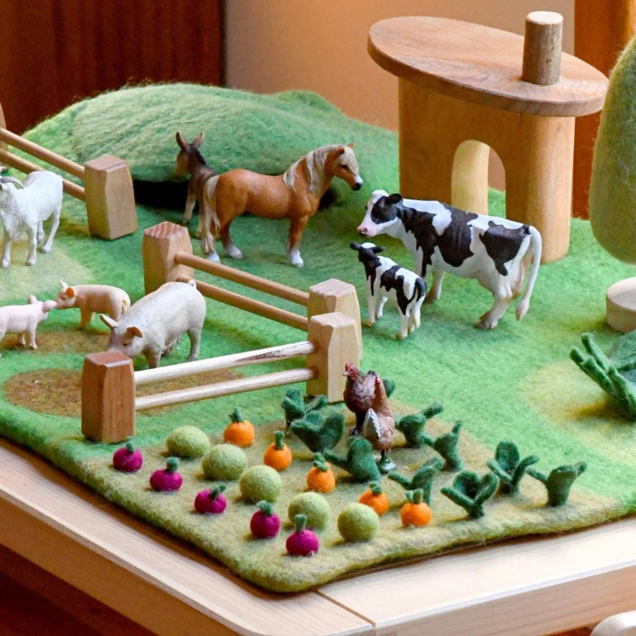 Felt Play Mats and Lifecycles