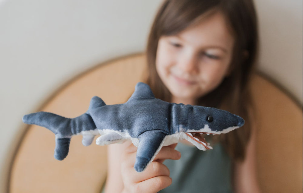 Ocean-Themed Play