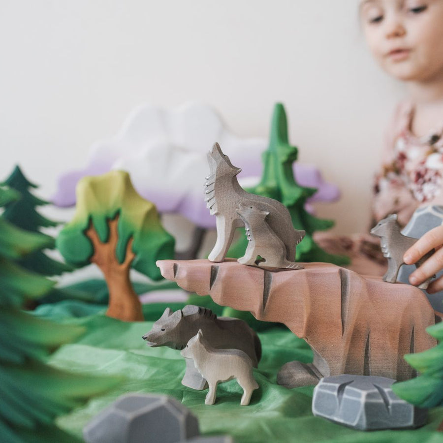 The Nature Collection