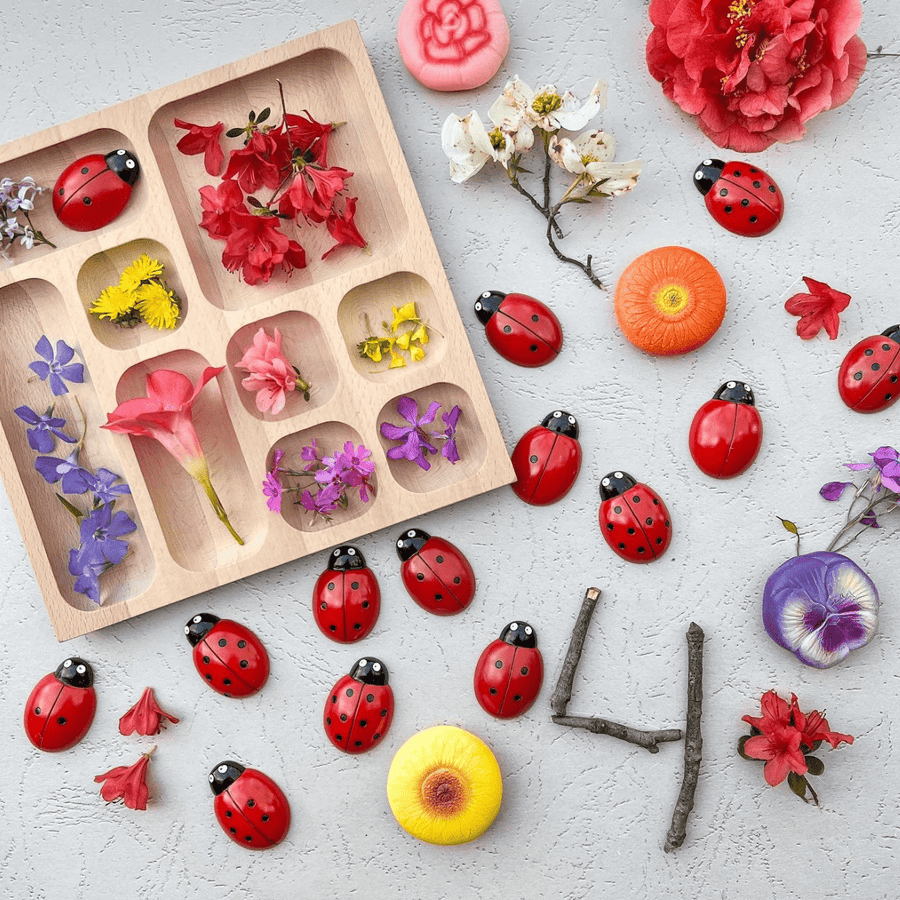 Bugs & Insects