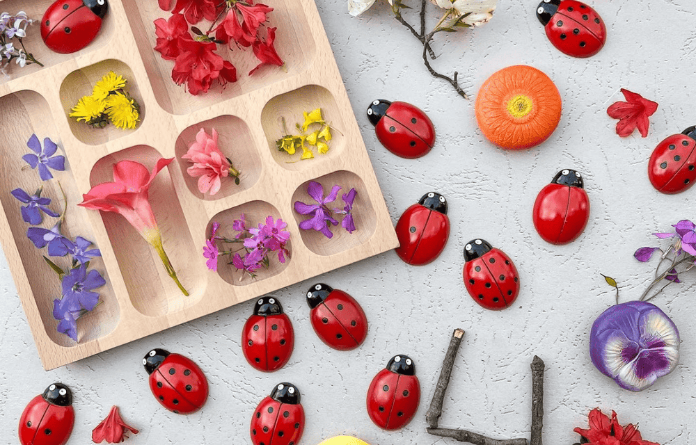 Bugs & Insects