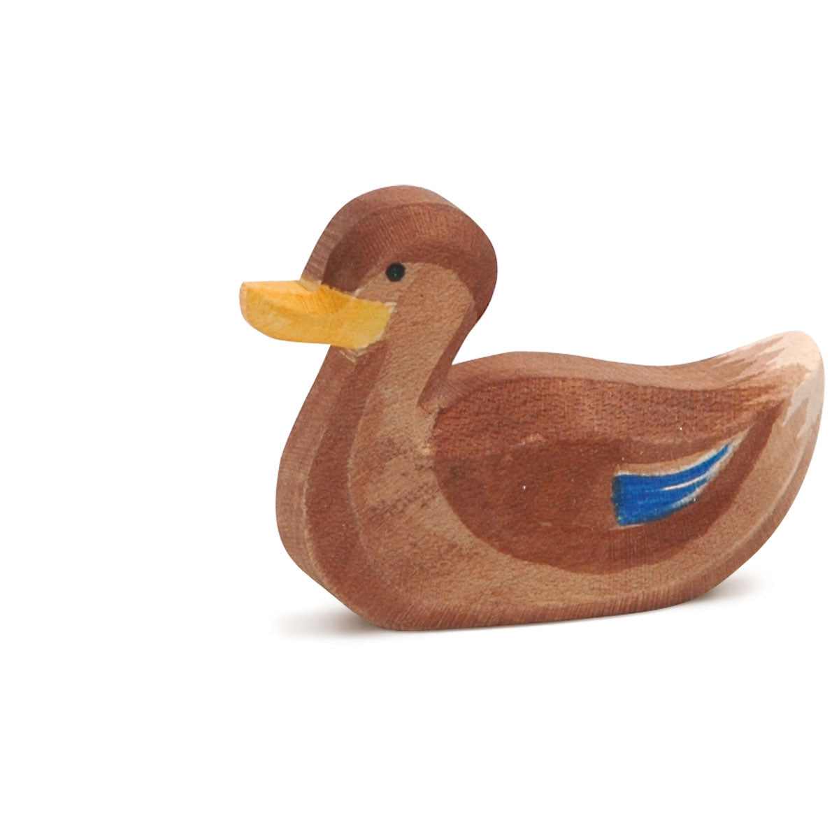 Ostheimer Duck (Swimming)
