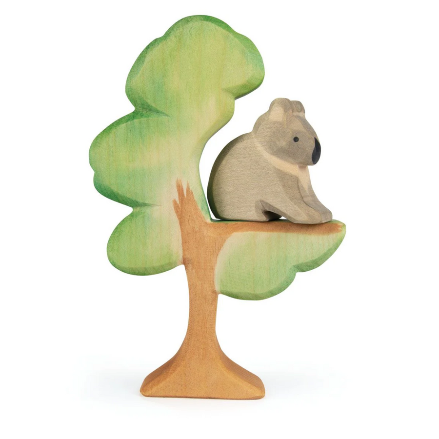Ostheimer Eucalyptus Tree - NEW
