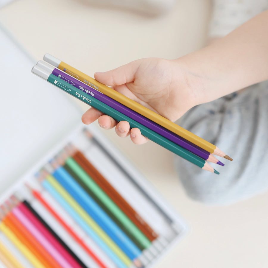 Watercolour Pencils (Set of 24)