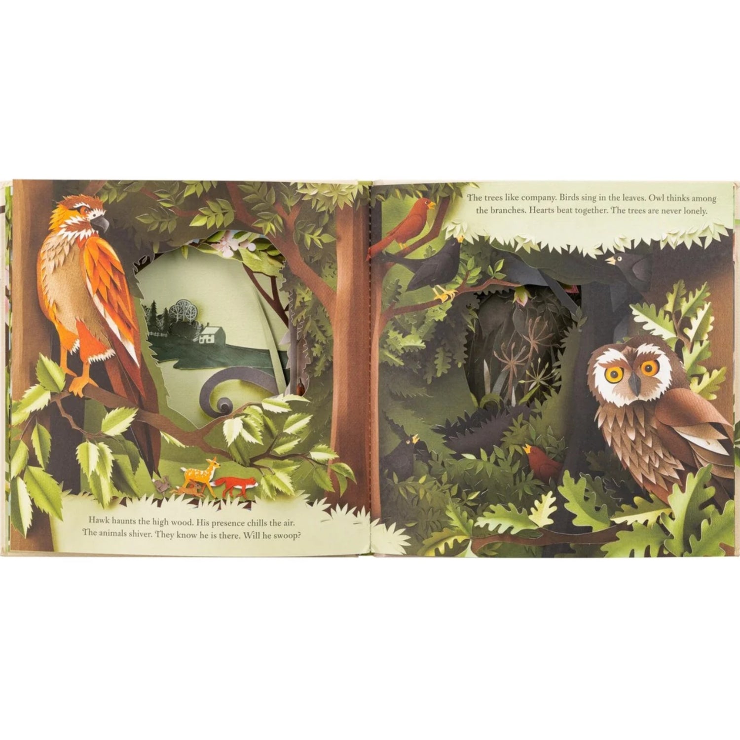 A Walk Through The Woods | Picture Book
