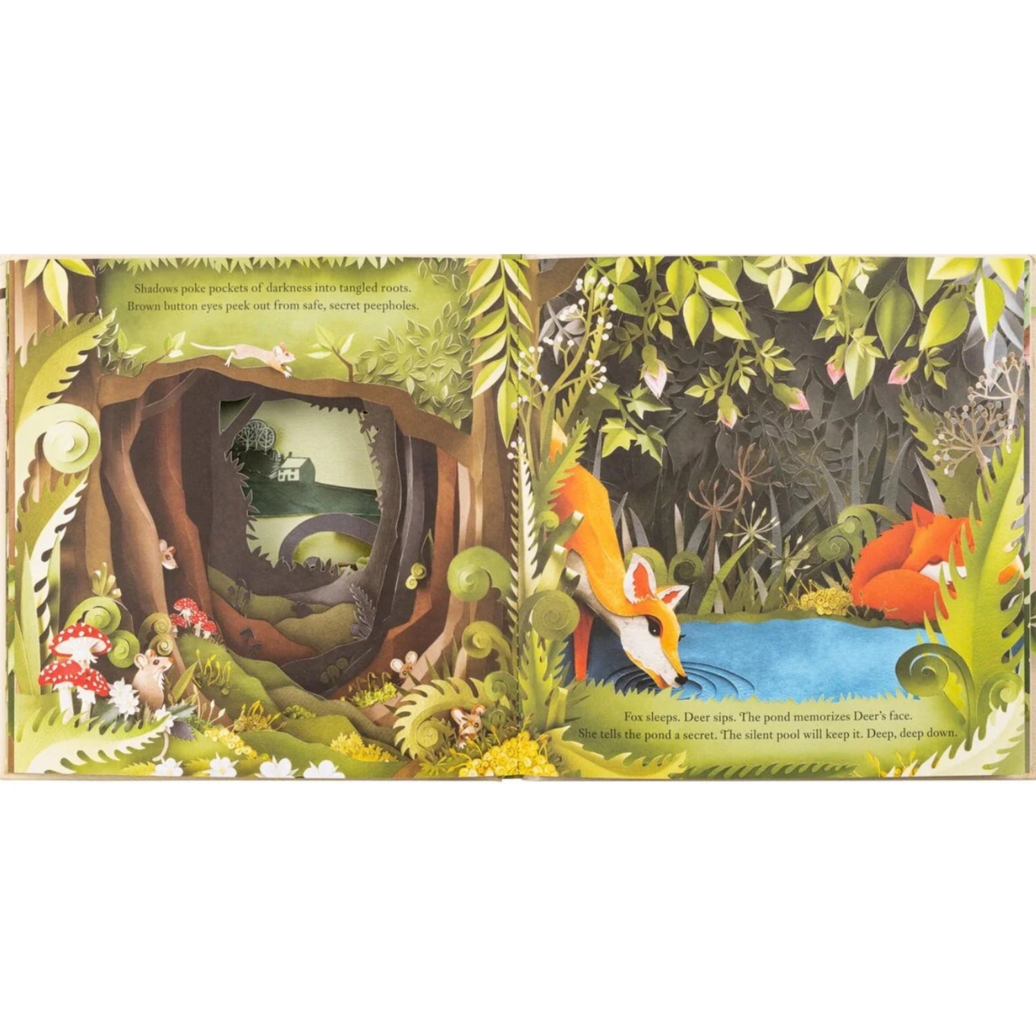 A Walk Through The Woods | Picture Book