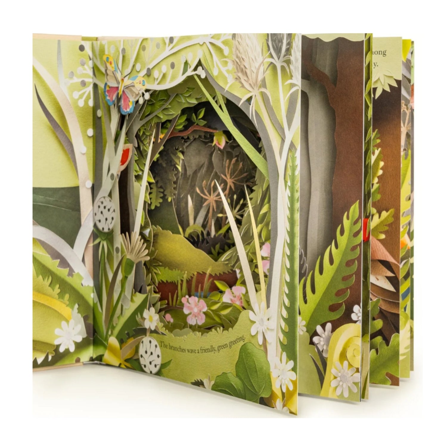 A Walk Through The Woods | Picture Book