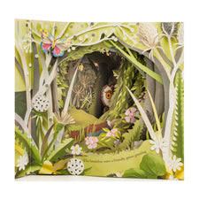 A Walk Through The Woods | Picture Book