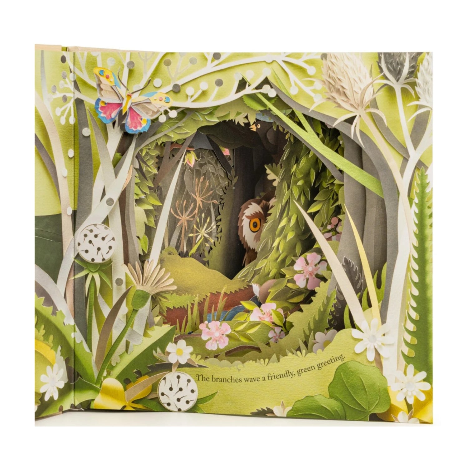 A Walk Through The Woods | Picture Book