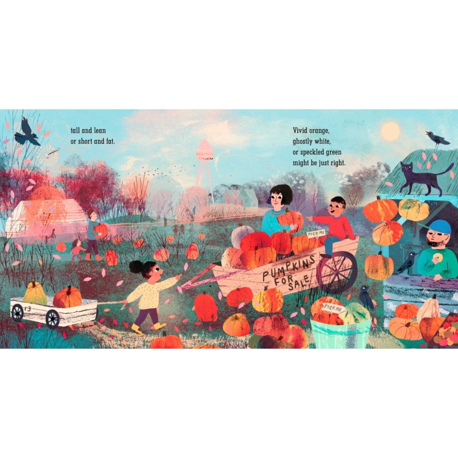 Pick a Pumpkin | Board Book
