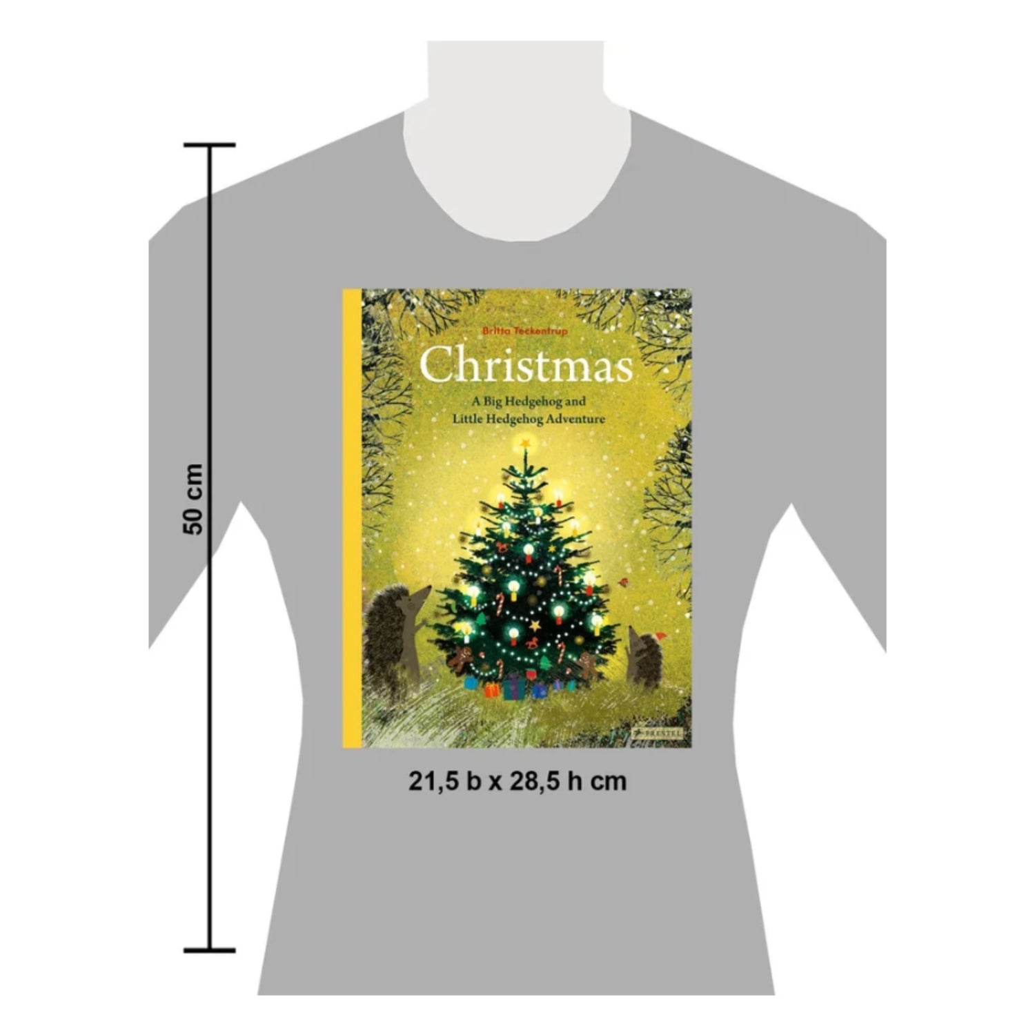Christmas: A Big Hedgehog and Little Hedgehog Adventure | Hardcover