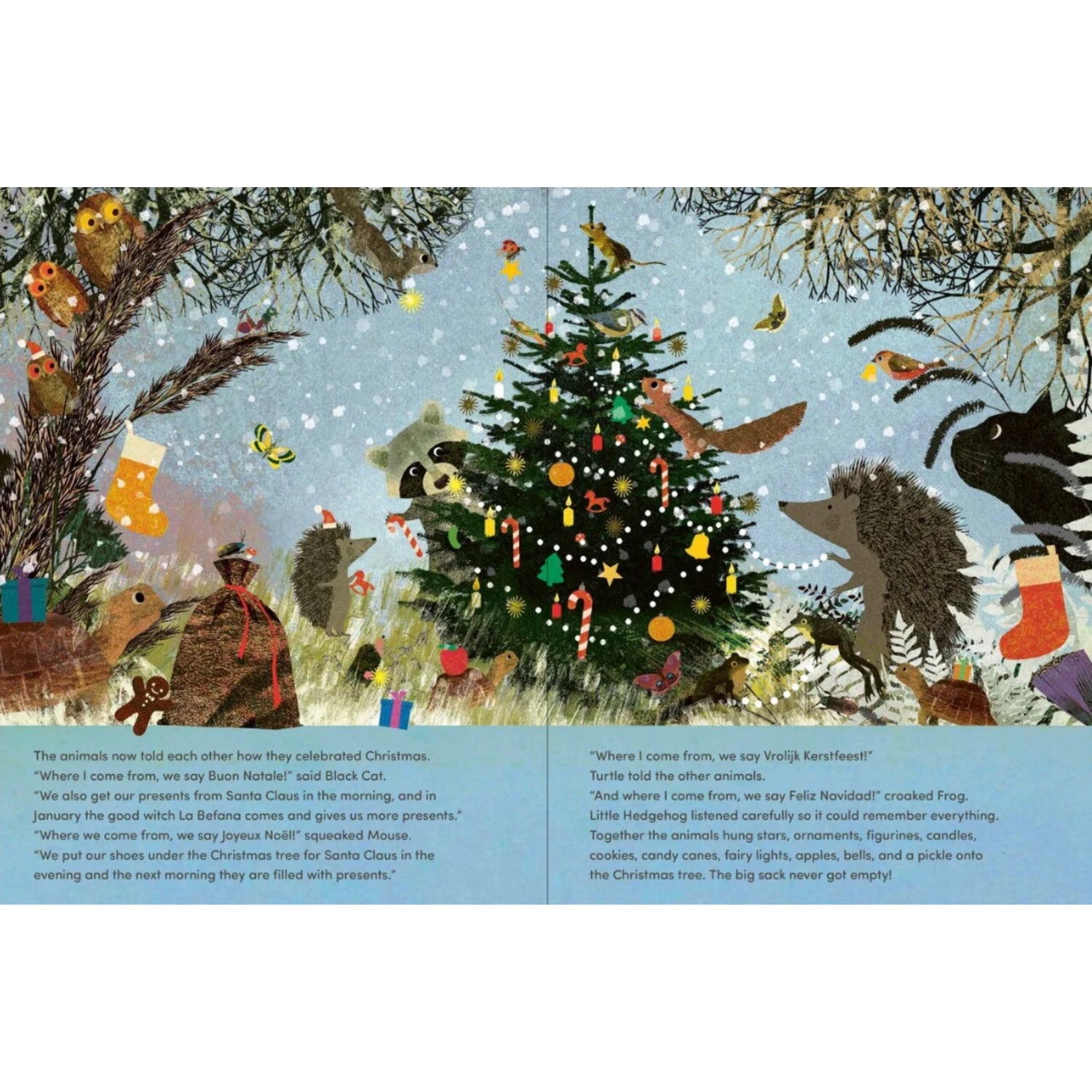 Christmas: A Big Hedgehog and Little Hedgehog Adventure | Hardcover