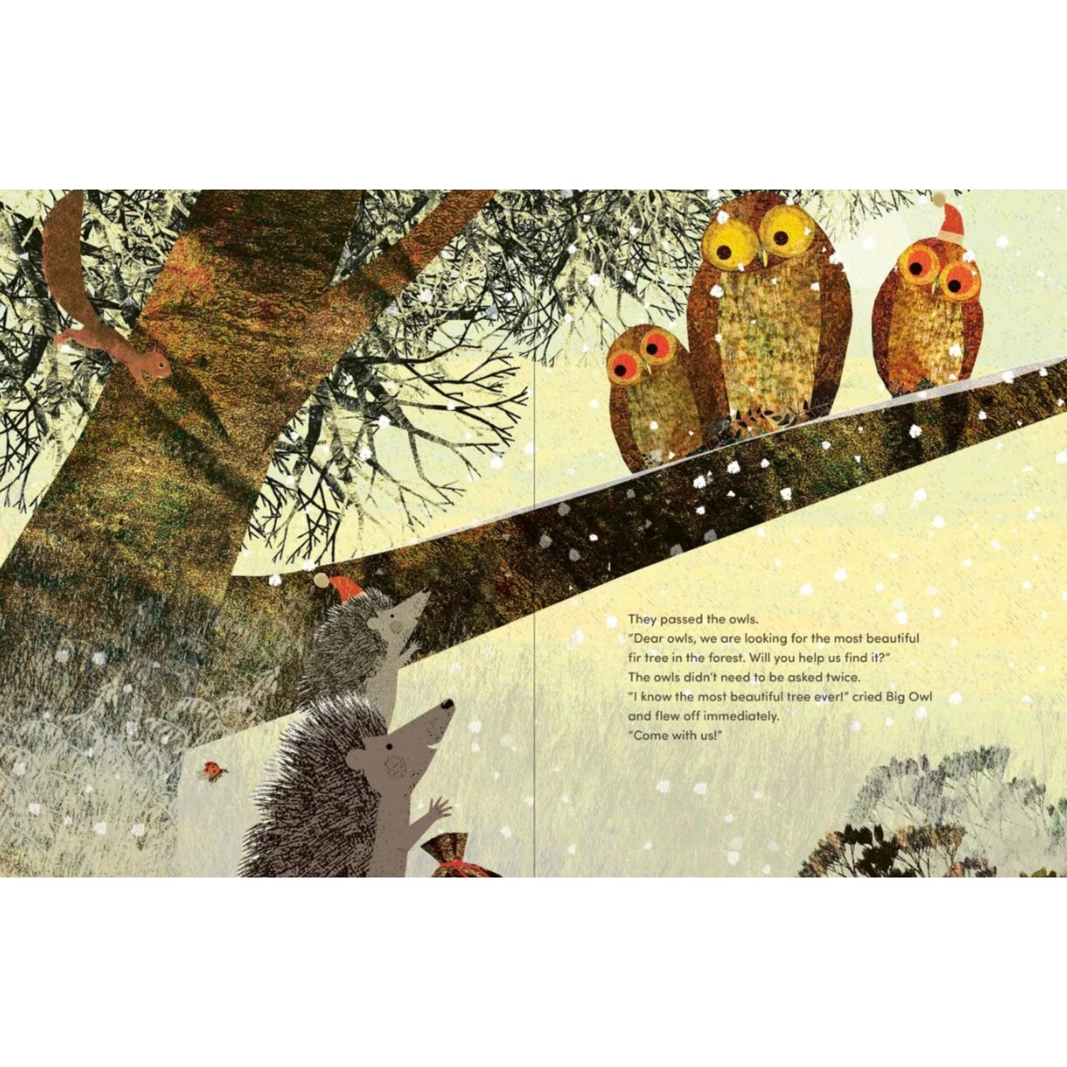 Christmas: A Big Hedgehog and Little Hedgehog Adventure | Hardcover
