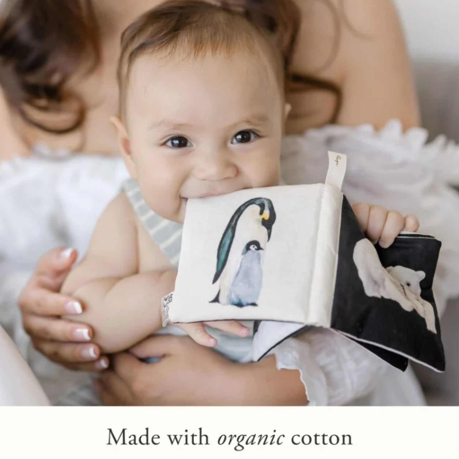 Crinkle Book Made with ORGANIC Cotton: High-Contrast Art for Sensory Play and On-the-Go Fun