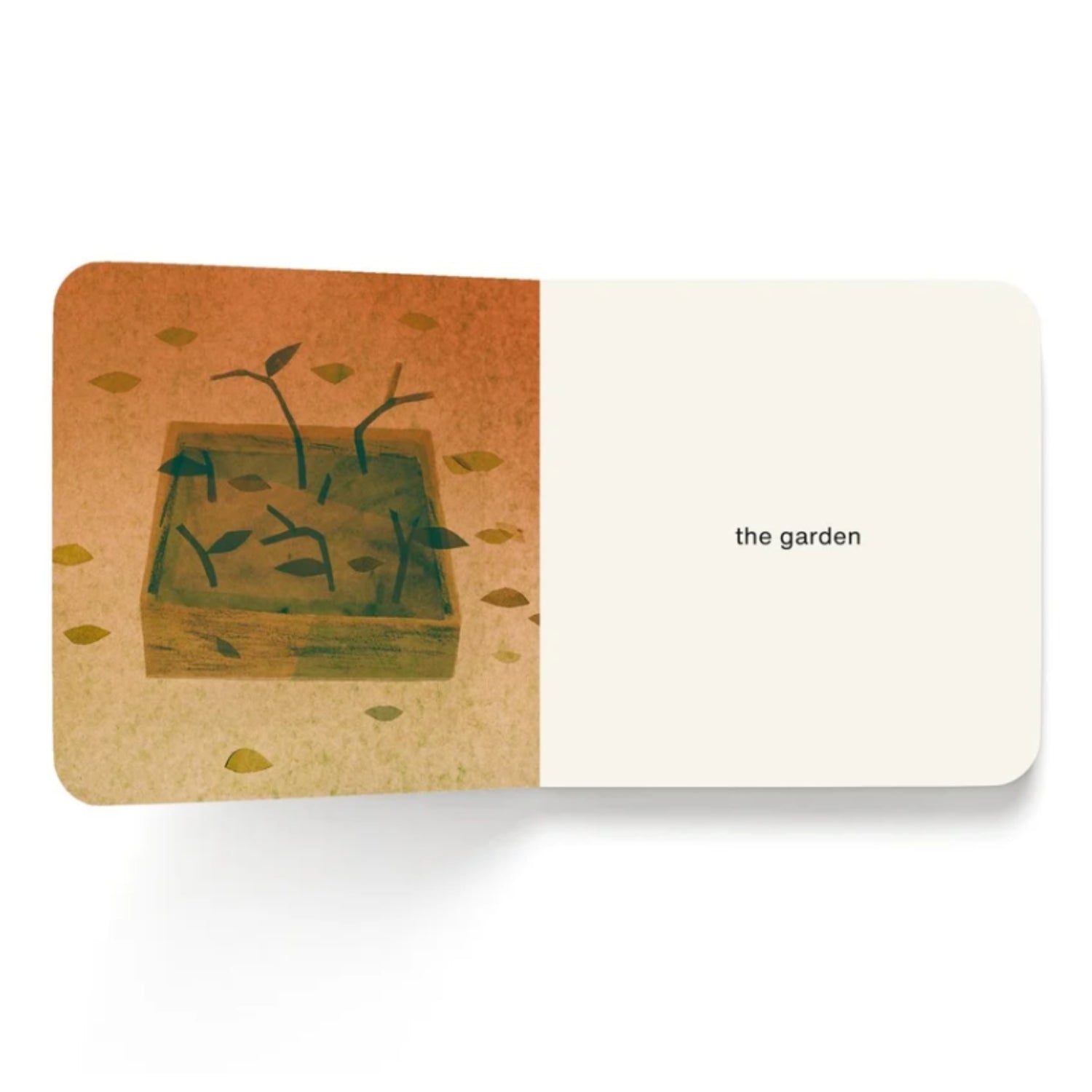 Now I See Fall | Board Book (Canadian Illustrator)
