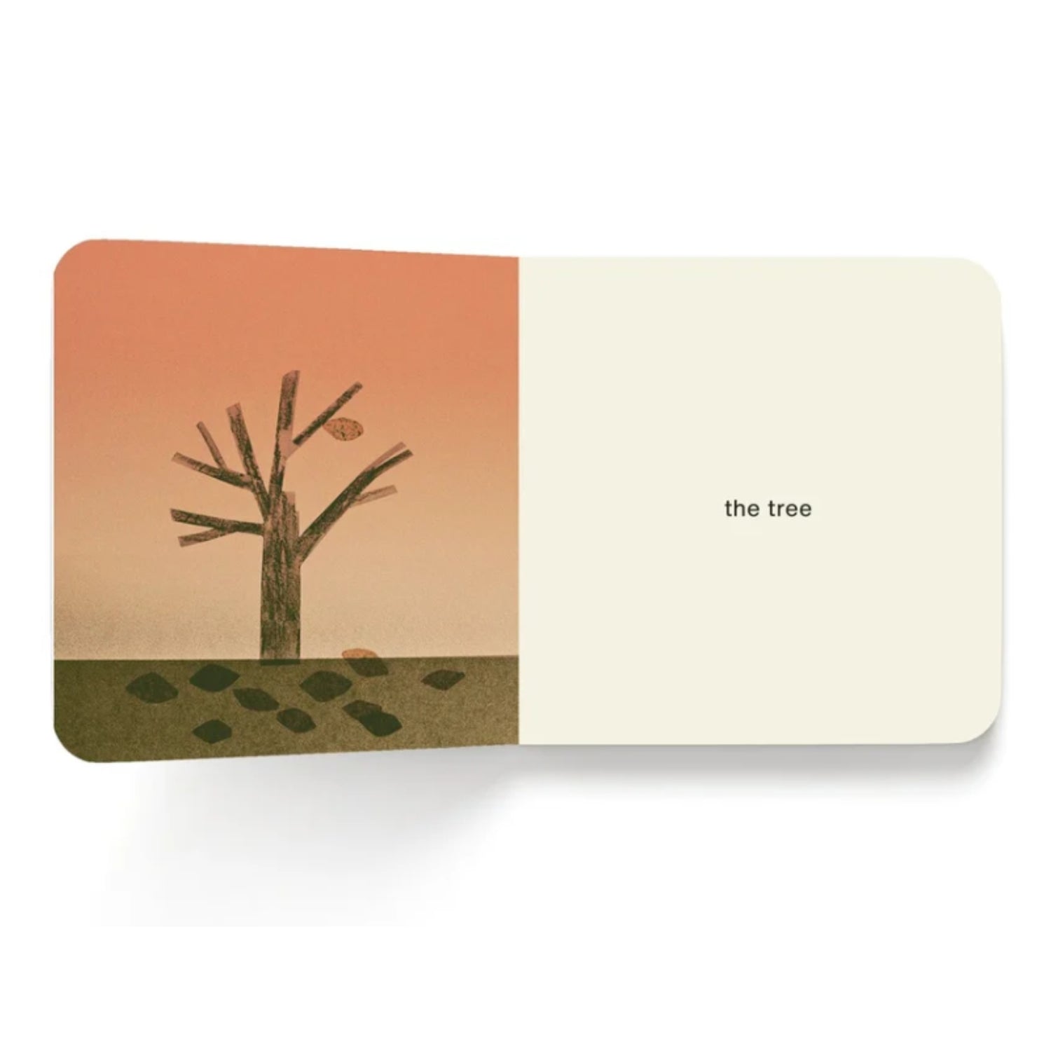 Now I See Fall | Board Book (Canadian Illustrator)