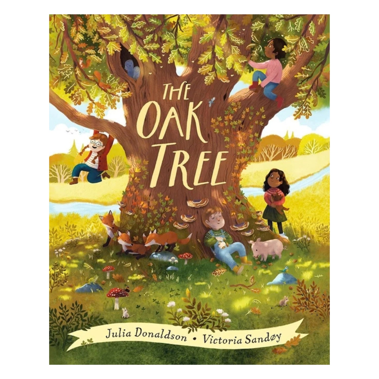 The Oak Tree | Paperback