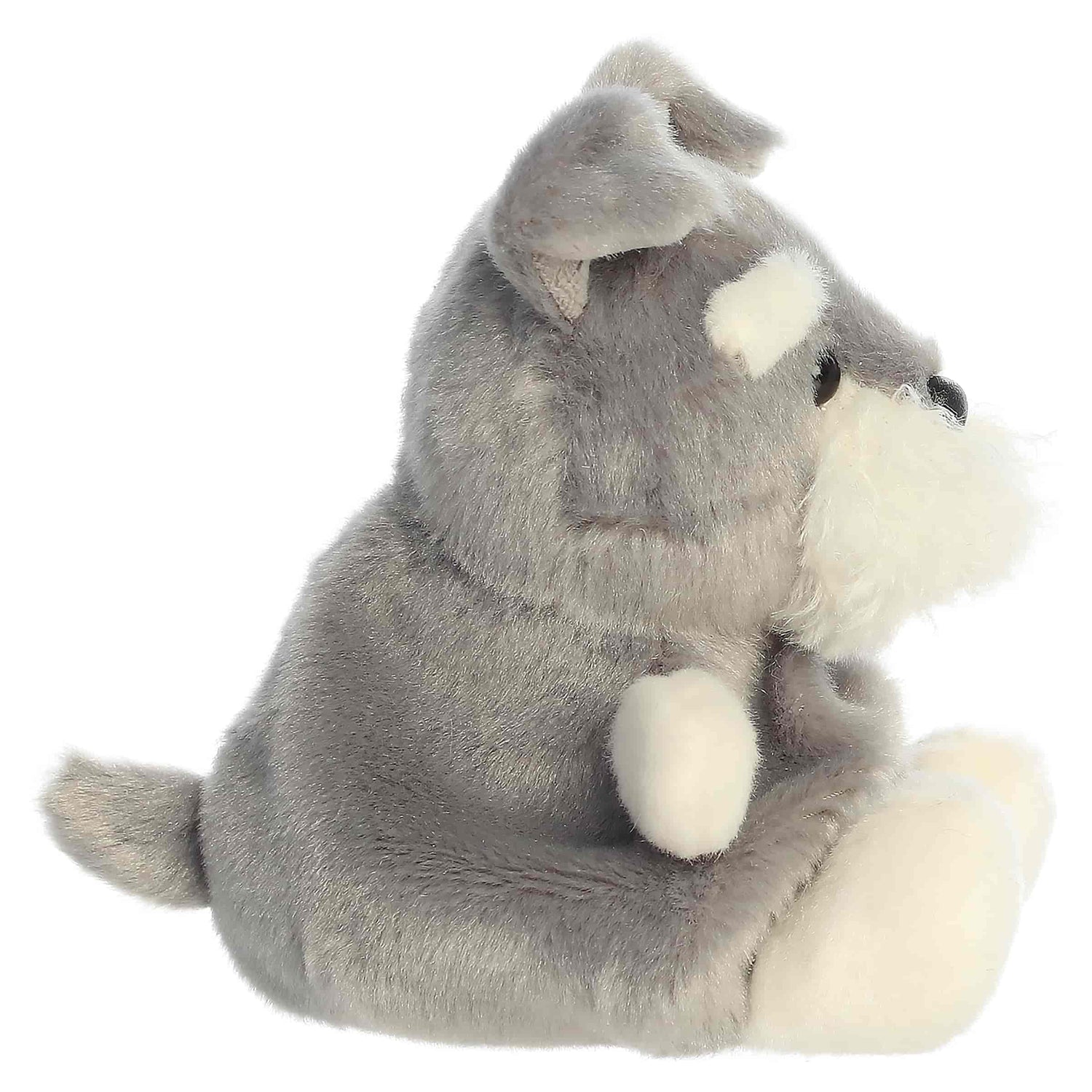 Palm Pals Korra Schnauzer