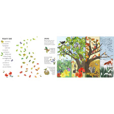 Seasons | Hardcover