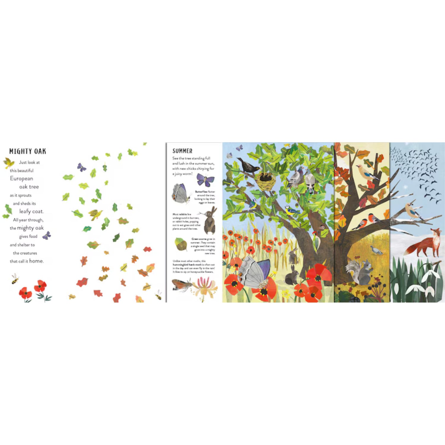 Seasons | Hardcover