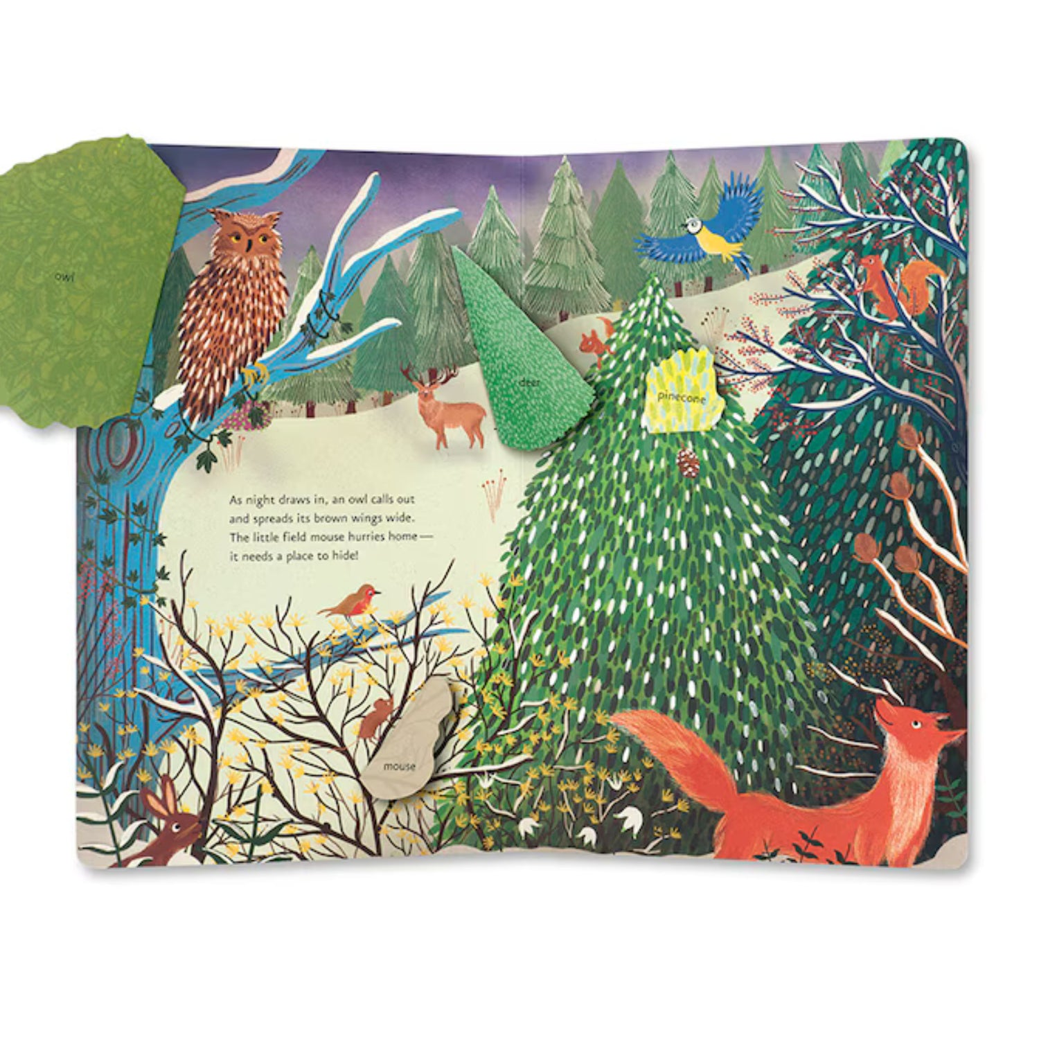 Little Christmas Tree | Hardcover