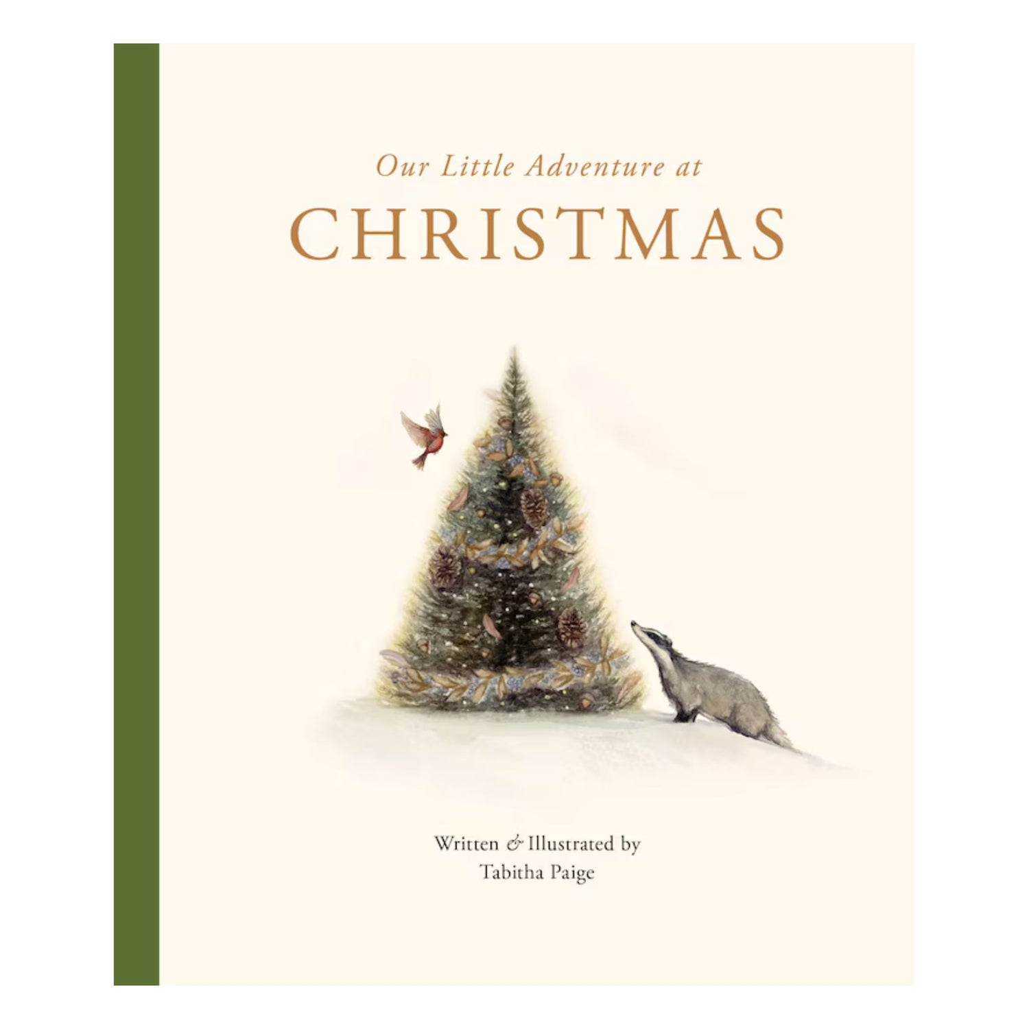 Our Little Adventure at Christmas: Featuring Foundational Language Concepts and Lessons on the Joy of Giving