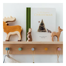 Our Little Adventure at Christmas: Featuring Foundational Language Concepts and Lessons on the Joy of Giving