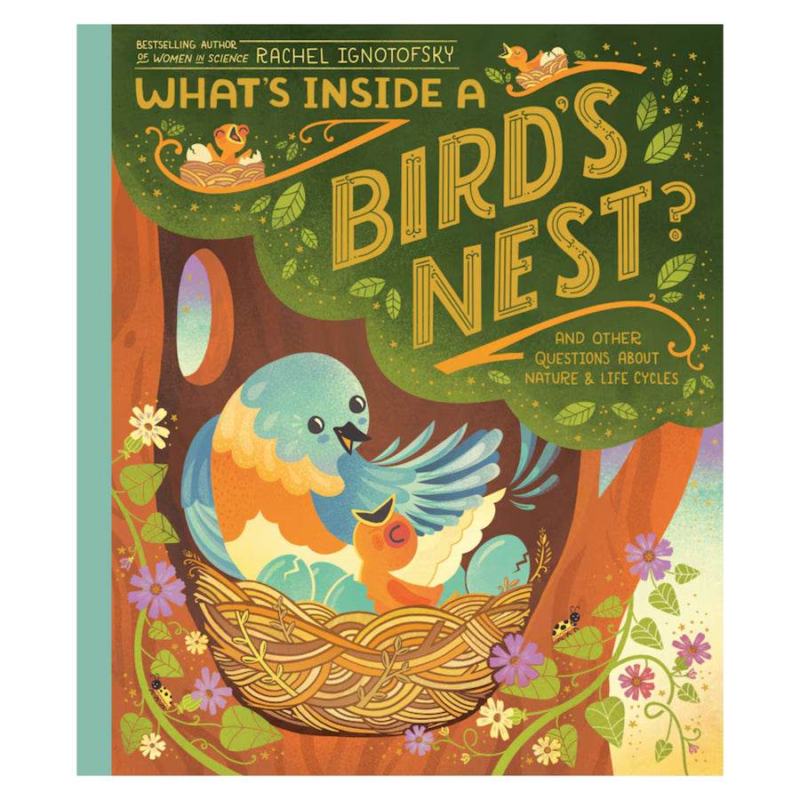 What's Inside A Bird's Nest?: And Other Questions About Nature & Life Cycles | Paperback