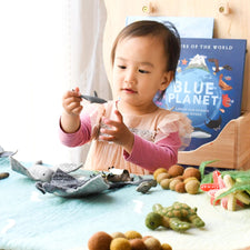 Felt Sea and Rockpool Playmat Playscape (Large)